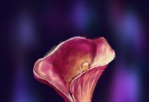 Esterilização de Mulheres com Deficiência: “Continuamos esquecidas”