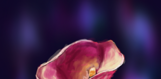 Esterilização de Mulheres com Deficiência: “Continuamos esquecidas”