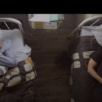 Schermata 2024-05-01 alle 13.27.39